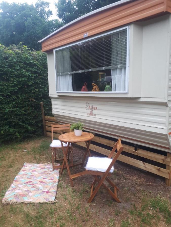 Caravan In Bosrijk Gebied Hotel Zuidlaren Kültér fotó