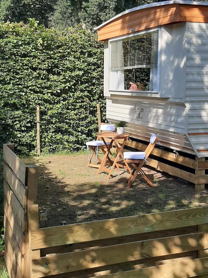 Caravan In Bosrijk Gebied Hotel Zuidlaren Kültér fotó